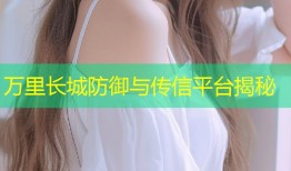 万里长城防御与传信平台揭秘