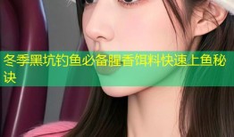 冬季黑坑钓鱼必备腥香饵料快速上鱼秘诀