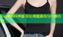 Ray爆黑料神器 轻松揭露真相与内幕功能