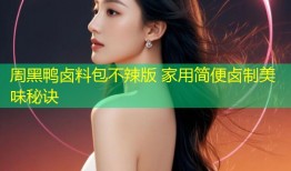 周黑鸭卤料包不辣版 家用简便卤制美味秘诀