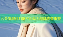 公关洗黑料利器平台助力品牌声誉重塑