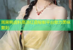 周黑鸭卤料高汤红曲秘制平台助力美味复刻