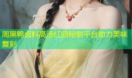 周黑鸭卤料高汤红曲秘制平台助力美味复刻