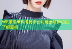 WE康帝黑料揭秘平台功能全解析点击了解真相