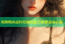 周黑鸭味卤料包秘制配方家庭卤味必备