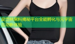 吴岱林黑料揭秘平台全能孵化与元宇宙互动新体验