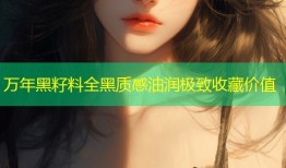万年黑籽料全黑质感油润极致收藏价值