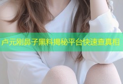 卢元刚鼻子黑料揭秘平台快速查真相