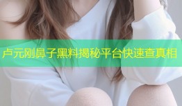 卢元刚鼻子黑料揭秘平台快速查真相
