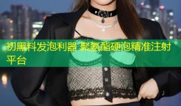初黑料发泡利器 聚氨酯硬泡精准注射平台