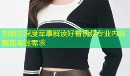 刘晓非深度军事解读好看视频专业内容聚焦军迷需求