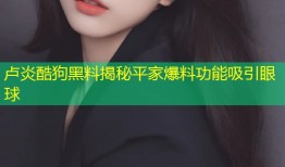 卢炎酷狗黑料揭秘平家爆料功能吸引眼球