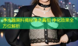 净水器黑料揭秘净水真相 净化效果全方位解析