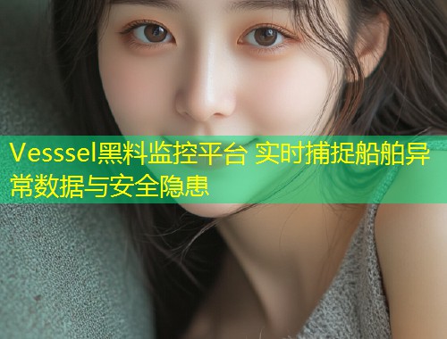 Vesssel黑料监控平台 实时捕捉船舶异常数据与安全隐患