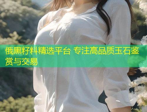 俄黑籽料精选平台 专注高品质玉石鉴赏与交易