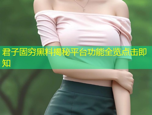君子固穷黑料揭秘平台功能全览点击即知