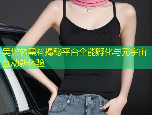 吴岱林黑料揭秘平台全能孵化与元宇宙互动新体验