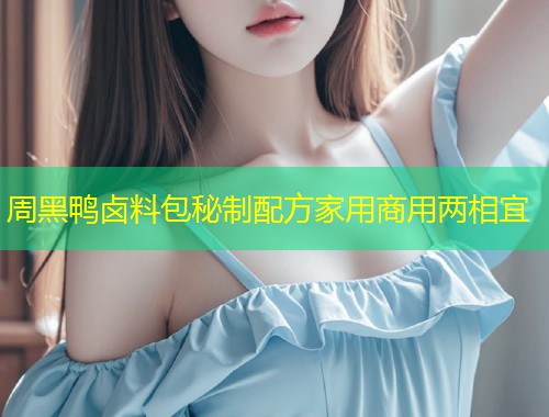 周黑鸭卤料包秘制配方家用商用两相宜